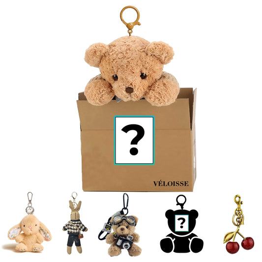 Mystery Bag Charm