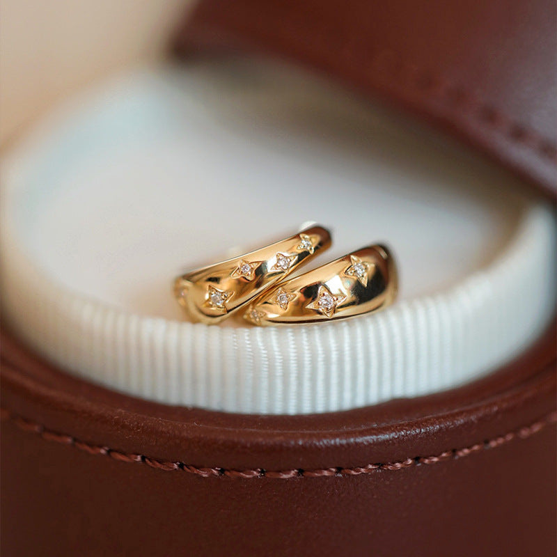 Luxury Gold & Silver Earrings - LEESTIA