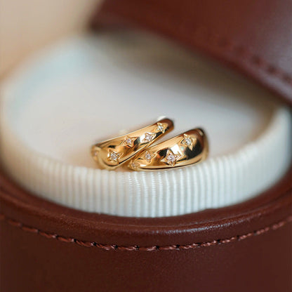 Luxury Gold & Silver Earrings - LEESTIA