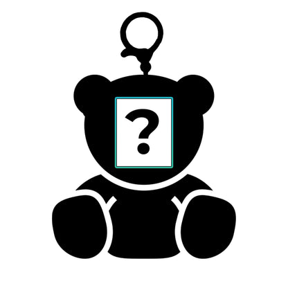 Mystery Bag Charm